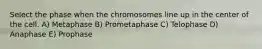 Select the phase when the chromosomes line up in the center of the cell. A) Metaphase B) Prometaphase C) Telophase D) Anaphase E) Prophase