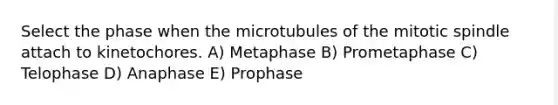 Select the phase when the microtubules of the mitotic spindle attach to kinetochores. A) Metaphase B) Prometaphase C) Telophase D) Anaphase E) Prophase