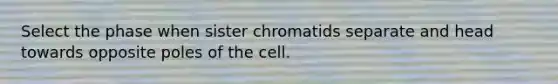 Select the phase when sister chromatids separate and head towards opposite poles of the cell.