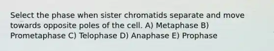 Select the phase when sister chromatids separate and move towards opposite poles of the cell. A) Metaphase B) Prometaphase C) Telophase D) Anaphase E) Prophase