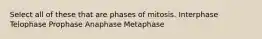 Select all of these that are phases of mitosis. Interphase Telophase Prophase Anaphase Metaphase