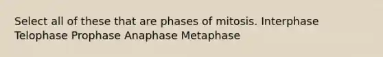 Select all of these that are phases of mitosis. Interphase Telophase Prophase Anaphase Metaphase