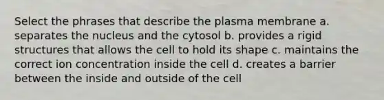 Select the phrases that describe the plasma membrane a. separates the nucleus and the cytosol b. provides a rigid structures that allows the cell to hold its shape c. maintains the correct ion concentration inside the cell d. creates a barrier between the inside and outside of the cell