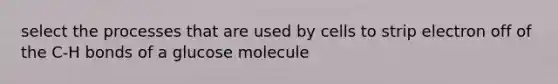 select the processes that are used by cells to strip electron off of the C-H bonds of a glucose molecule