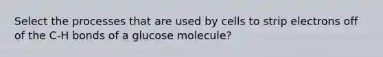 Select the processes that are used by cells to strip electrons off of the C-H bonds of a glucose molecule?