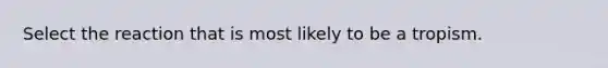 Select the reaction that is most likely to be a tropism.