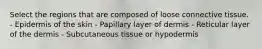 Select the regions that are composed of loose connective tissue. - Epidermis of the skin - Papillary layer of dermis - Reticular layer of the dermis - Subcutaneous tissue or hypodermis