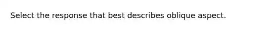 Select the response that best describes oblique aspect.