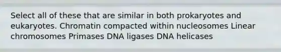 Select all of these that are similar in both prokaryotes and eukaryotes. Chromatin compacted within nucleosomes Linear chromosomes Primases DNA ligases DNA helicases