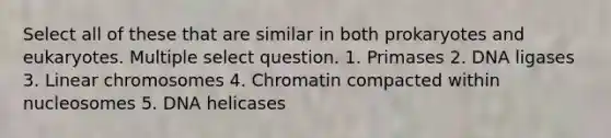 Select all of these that are similar in both prokaryotes and eukaryotes. Multiple select question. 1. Primases 2. DNA ligases 3. Linear chromosomes 4. Chromatin compacted within nucleosomes 5. DNA helicases