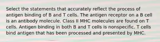 Select the statements that accurately reflect the process of antigen binding of B and T cells. The antigen receptor on a B cell is an antibody molecule. Class II MHC molecules are found on T cells. Antigen binding in both B and T cells is nonspecific. T cells bind antigen that has been processed and presented by MHC.