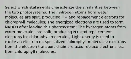 Select which statements characterize the similarities between the two photosystems: The hydrogen atoms from water molecules are split, producing H+ and replacement electrons for chlorophyll molecules; The energized electrons are used to form NADPH after leaving this photosystem; The hydrogen atoms from water molecules are split, producing H+ and replacement electrons for chlorophyll molecules; Light energy is used to excite an electron on specialized chlorophyll molecules; electrons from the electron transport chain are used replace electrons lost from chlorophyll molecules;