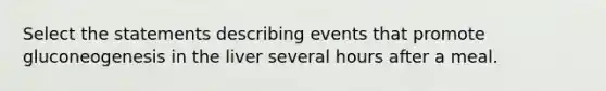 Select the statements describing events that promote gluconeogenesis in the liver several hours after a meal.