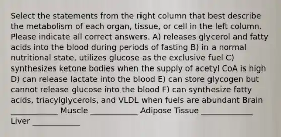 Select the statements from the right column that best describe the metabolism of each organ, tissue, or cell in the left column. Please indicate all correct answers. A) releases glycerol and fatty acids into the blood during periods of fasting B) in a normal nutritional state, utilizes glucose as the exclusive fuel C) synthesizes ketone bodies when the supply of acetyl CoA is high D) can release lactate into the blood E) can store glycogen but cannot release glucose into the blood F) can synthesize fatty acids, triacylglycerols, and VLDL when fuels are abundant Brain ____________ Muscle ____________ Adipose Tissue _____________ Liver ____________