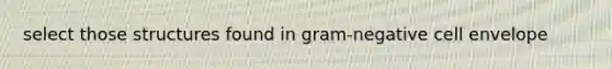 select those structures found in gram-negative cell envelope