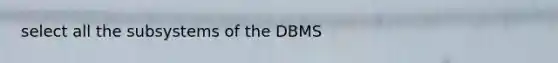 select all the subsystems of the DBMS