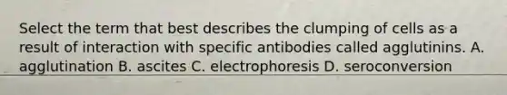 Select the term that best describes the clumping of cells as a result of interaction with specific antibodies called agglutinins. A. agglutination B. ascites C. electrophoresis D. seroconversion