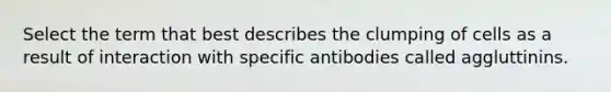 Select the term that best describes the clumping of cells as a result of interaction with specific antibodies called aggluttinins.