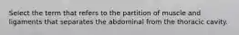 Select the term that refers to the partition of muscle and ligaments that separates the abdominal from the thoracic cavity.