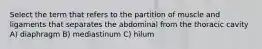 Select the term that refers to the partition of muscle and ligaments that separates the abdominal from the thoracic cavity A) diaphragm B) mediastinum C) hilum