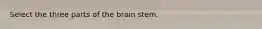 Select the three parts of the brain stem.