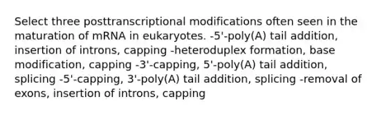 Select three posttranscriptional modifications often seen in the maturation of mRNA in eukaryotes. -5'-poly(A) tail addition, insertion of introns, capping -heteroduplex formation, base modification, capping -3'-capping, 5'-poly(A) tail addition, splicing -5'-capping, 3'-poly(A) tail addition, splicing -removal of exons, insertion of introns, capping