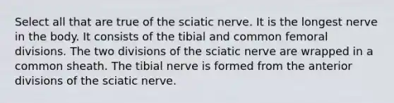 Select all that are true of the sciatic nerve. It is the longest nerve in the body. It consists of the tibial and common femoral divisions. The two divisions of the sciatic nerve are wrapped in a common sheath. The tibial nerve is formed from the anterior divisions of the sciatic nerve.