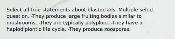 Select all true statements about blastoclads. Multiple select question. -They produce large fruiting bodies similar to mushrooms. -They are typically polyploid. -They have a haplodiplontic life cycle. -They produce zoospores.