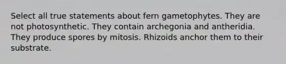 Select all true statements about fern gametophytes. They are not photosynthetic. They contain archegonia and antheridia. They produce spores by mitosis. Rhizoids anchor them to their substrate.