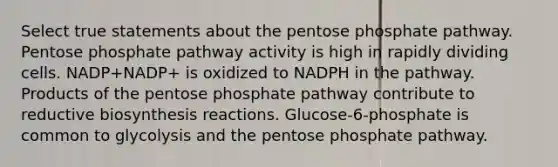 Select true statements about the pentose phosphate pathway. Pentose phosphate pathway activity is high in rapidly dividing cells. NADP+NADP+ is oxidized to NADPH in the pathway. Products of the pentose phosphate pathway contribute to reductive biosynthesis reactions. Glucose‑6‑phosphate is common to glycolysis and the pentose phosphate pathway.