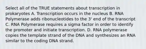 Select all of the TRUE statements about transcription in prokaryotes A. Transcription occurs in the nucleus B. RNA Polymerase adds ribonucleotides to the 3' end of the transcript C. RNA Polymerase requires a sigma factor in order to identify the promoter and initiate transcription. D. RNA polymerase copies the template strand of the DNA and synthesizes an RNA similar to the coding DNA strand.