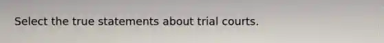 Select the true statements about trial courts.