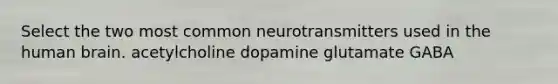 Select the two most common neurotransmitters used in the human brain. acetylcholine dopamine glutamate GABA