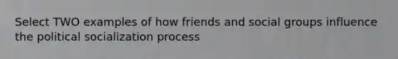 Select TWO examples of how friends and social groups influence the political socialization process