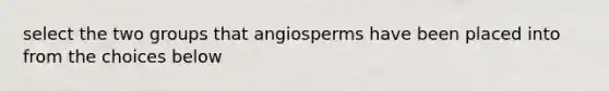 select the two groups that angiosperms have been placed into from the choices below