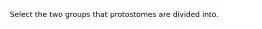 Select the two groups that protostomes are divided into.