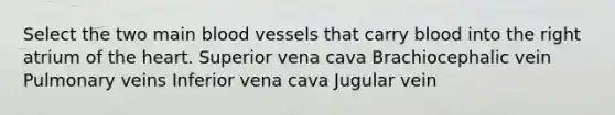 Select the two main blood vessels that carry blood into the right atrium of the heart. Superior vena cava Brachiocephalic vein Pulmonary veins Inferior vena cava Jugular vein