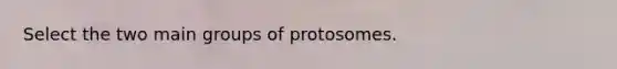 Select the two main groups of protosomes.