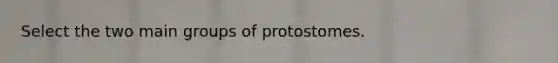 Select the two main groups of protostomes.