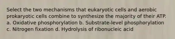 Select the two mechanisms that eukaryotic cells and aerobic prokaryotic cells combine to synthesize the majority of their ATP. a. Oxidative phosphorylation b. Substrate-level phosphorylation c. Nitrogen fixation d. Hydrolysis of ribonucleic acid