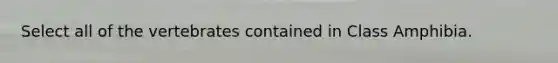 Select all of the vertebrates contained in Class Amphibia.