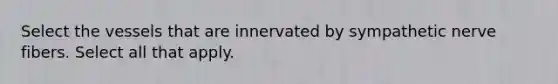 Select the vessels that are innervated by sympathetic nerve fibers. Select all that apply.