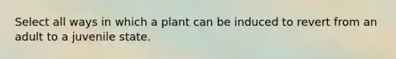 Select all ways in which a plant can be induced to revert from an adult to a juvenile state.