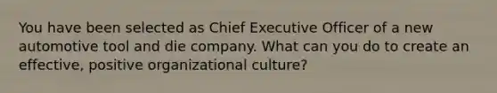 You have been selected as Chief Executive Officer of a new automotive tool and die company. What can you do to create an effective, positive organizational culture?