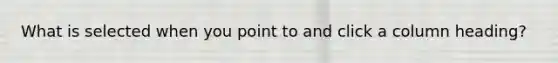 What is selected when you point to and click a column heading?