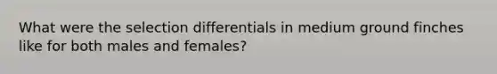 What were the selection differentials in medium ground finches like for both males and females?