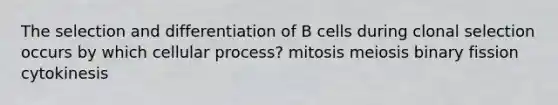 The selection and differentiation of B cells during clonal selection occurs by which cellular process? mitosis meiosis binary fission cytokinesis