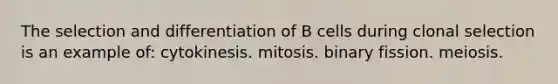 The selection and differentiation of B cells during clonal selection is an example of: cytokinesis. mitosis. binary fission. meiosis.