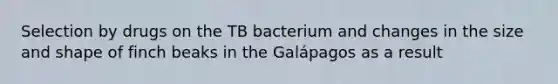 Selection by drugs on the TB bacterium and changes in the size and shape of finch beaks in the Galápagos as a result