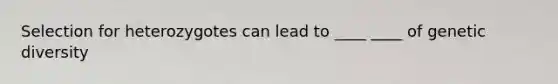 Selection for heterozygotes can lead to ____ ____ of genetic diversity